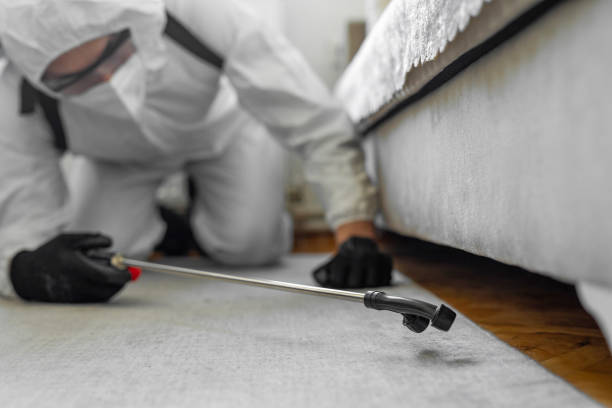 Professional Bed Bug Control technician working in Eddy County County, ND